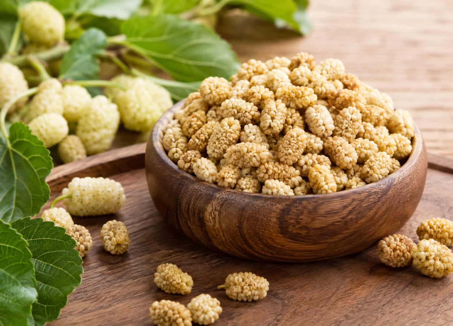 توت خشک رسمی با رنگ طبیعی و کیفیت مناسب