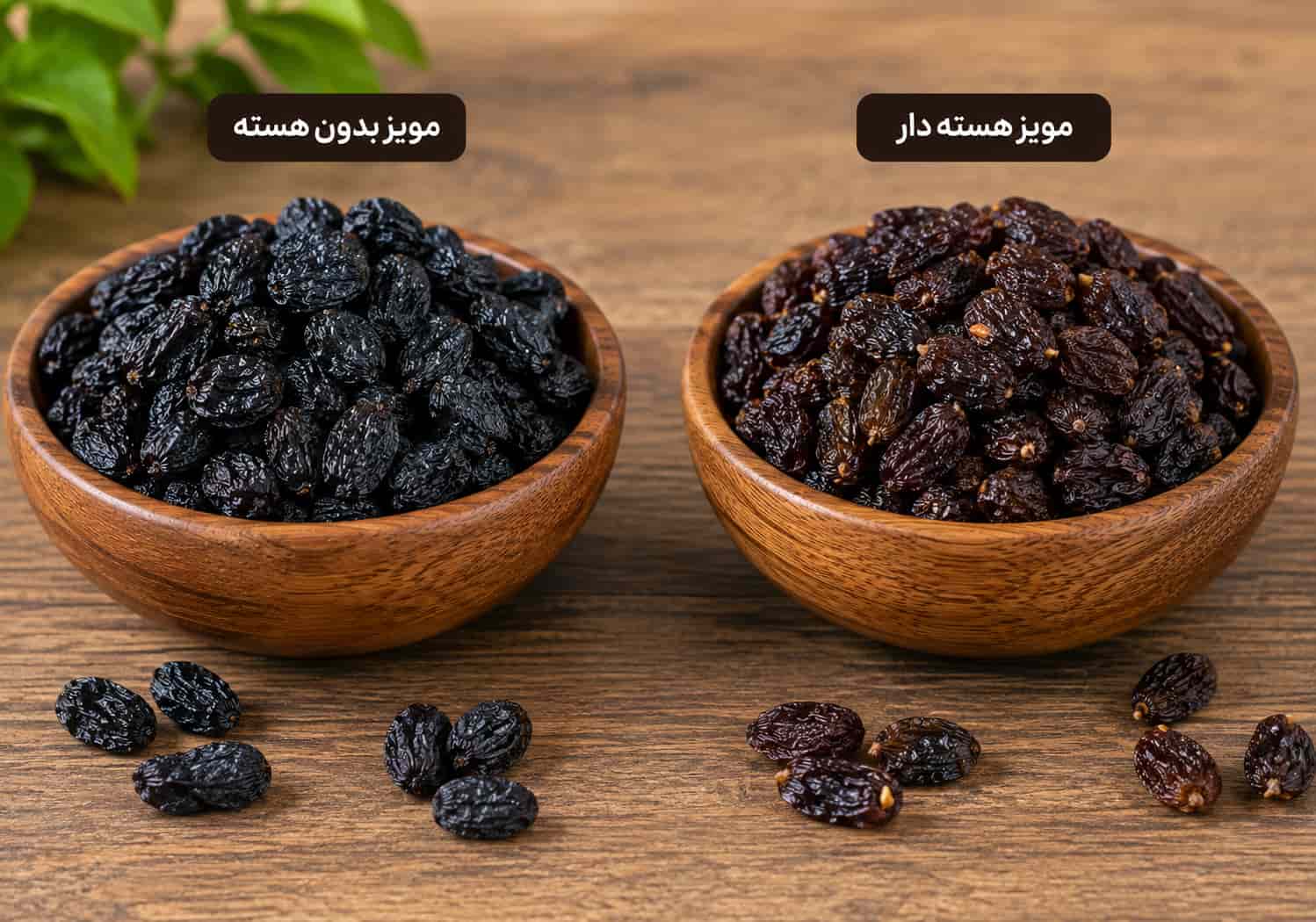 تفاوت مویز بدون هسته و هسته دار