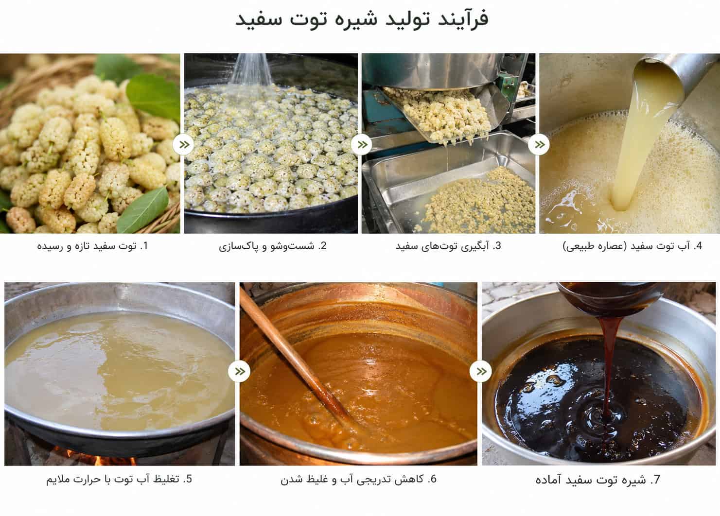 آبگیری توت سفید