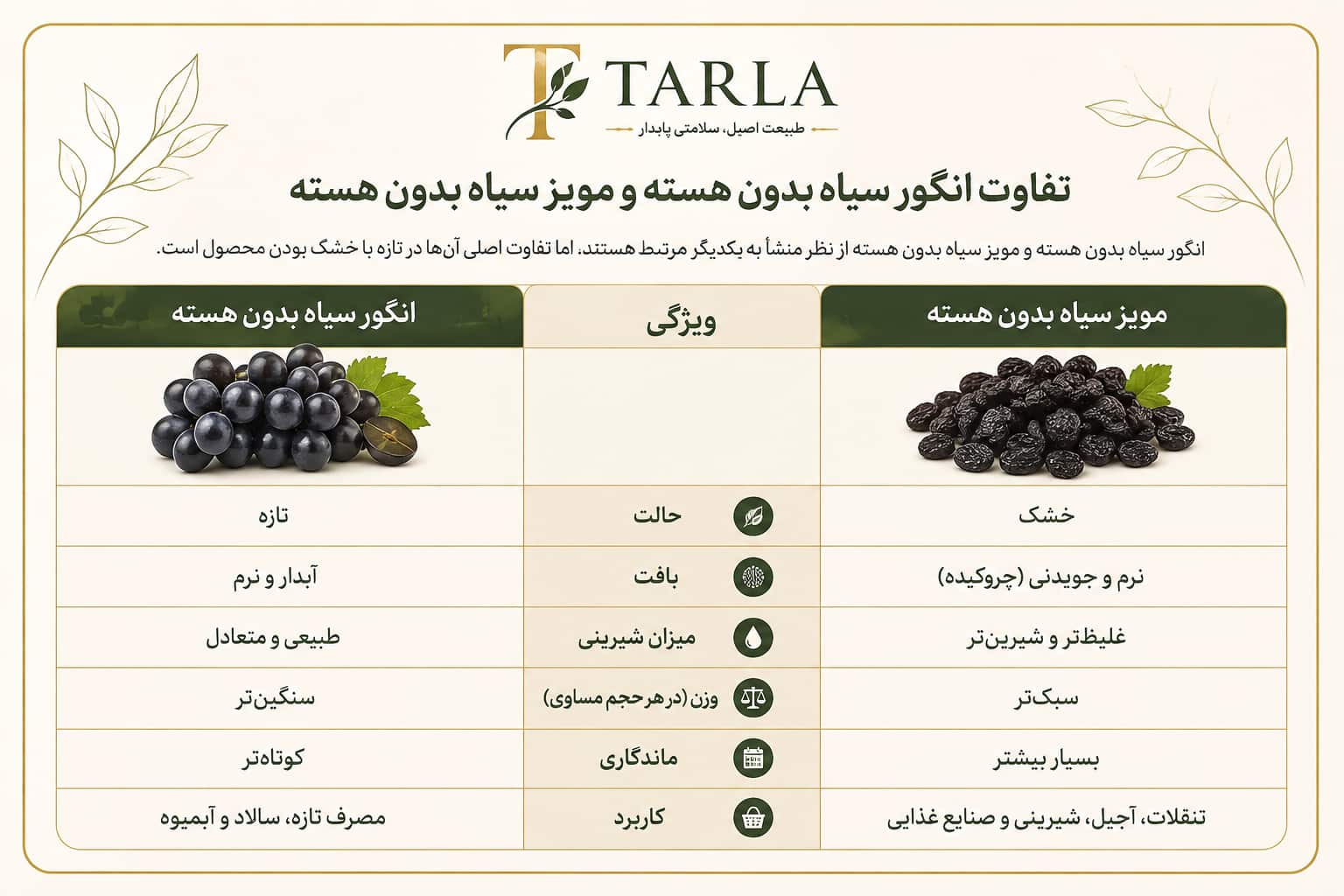 تفاوت انگور سیاه بدون هسته با مویز
